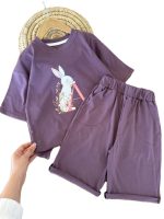 تیشرت و شلوارک دخترانه راحتی طرح خرگوش - Image 4